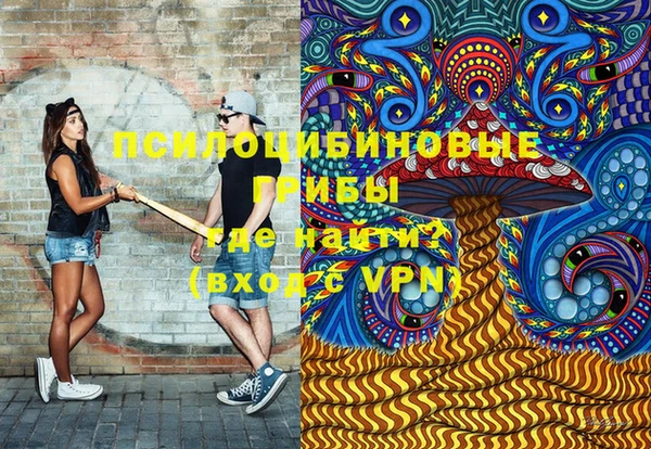 гидропоника Пересвет
