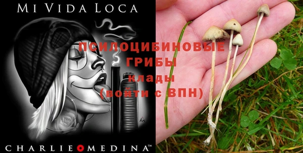 MDMA Premium VHQ Пестово