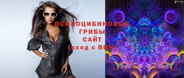гидропоника Пересвет